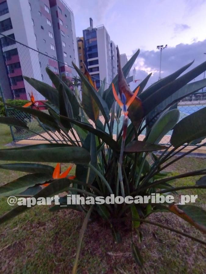Apto Cond Ilhas Do Caribe - Pr - Beira Mar Matinhos Εξωτερικό φωτογραφία