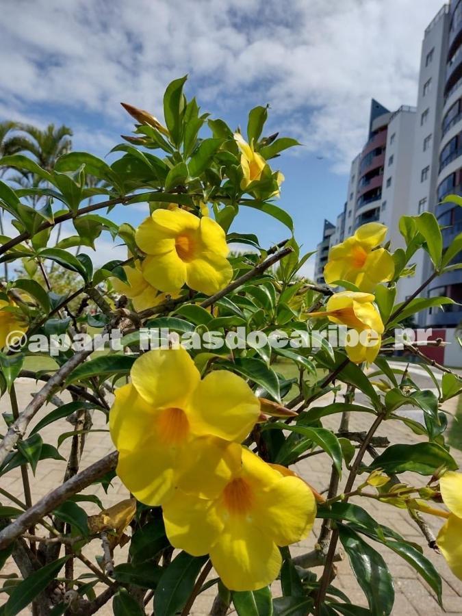 Apto Cond Ilhas Do Caribe - Pr - Beira Mar Matinhos Εξωτερικό φωτογραφία